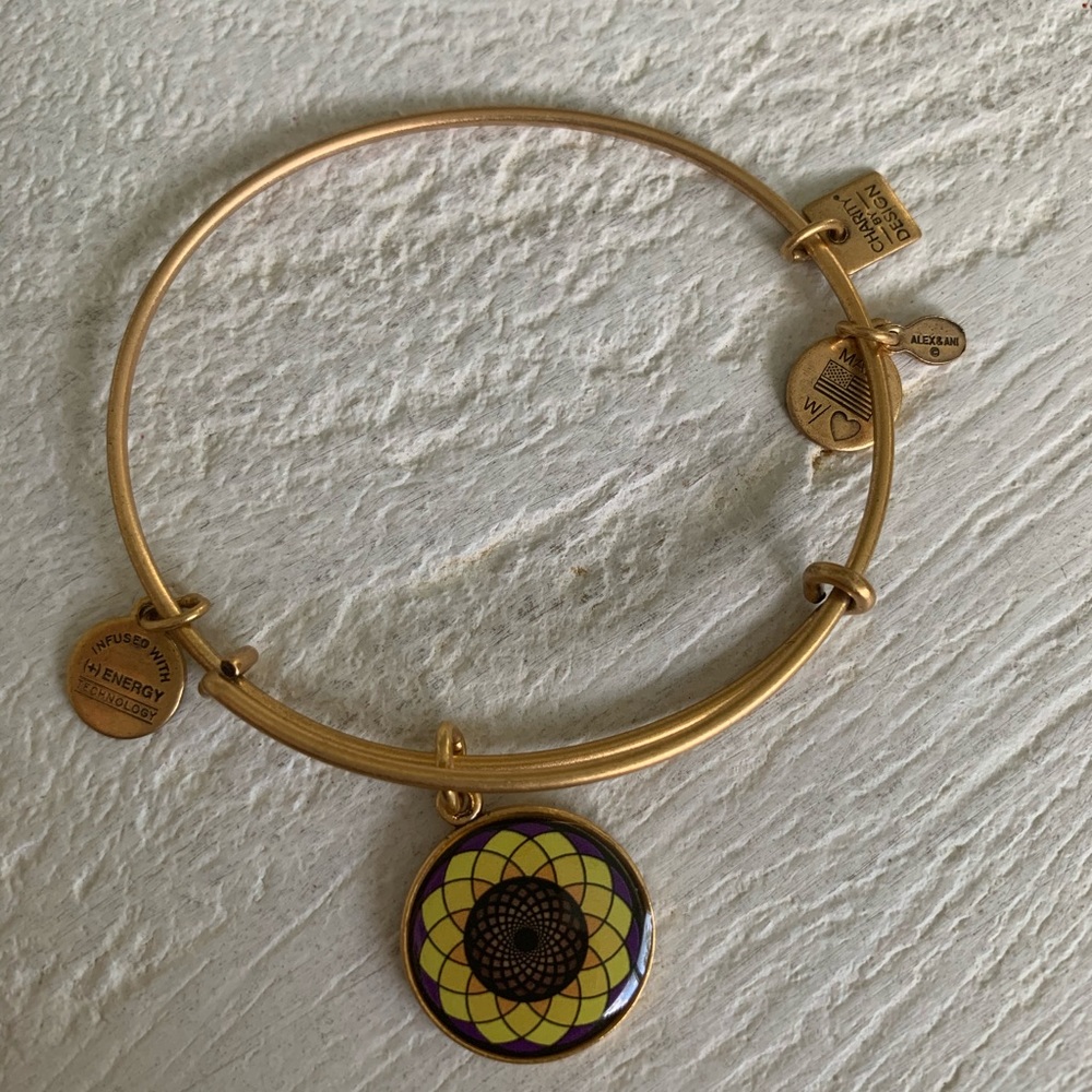 Alex and Ani bracelt